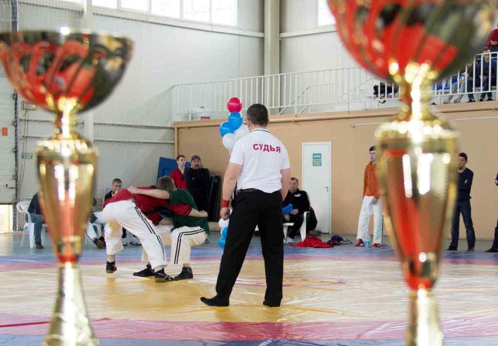 В Димитровграде состоялся турнир по борьбе куряш(фото)
