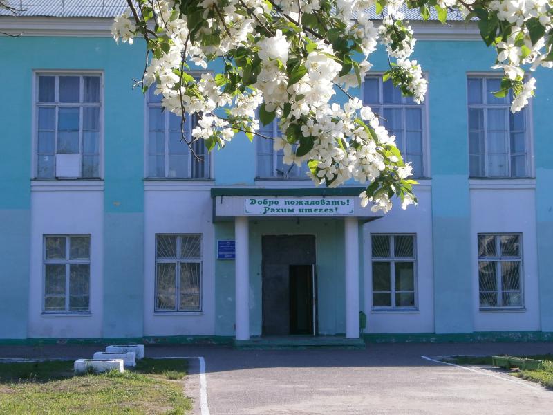 Татарская школа Димитровграда