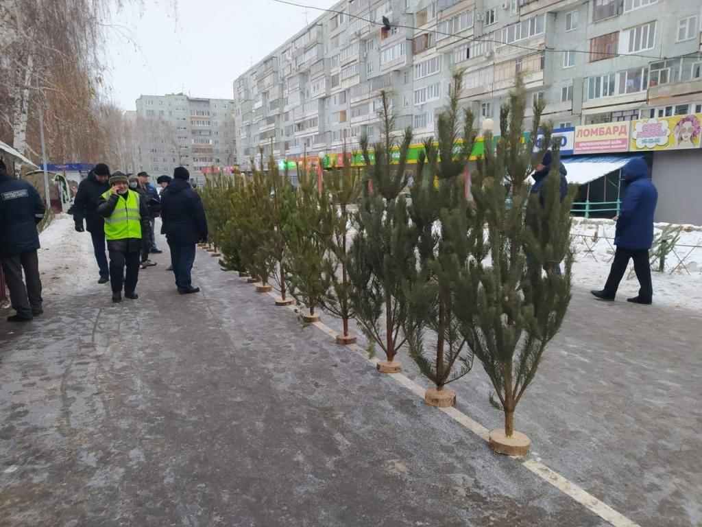 С 15 декабря в Ульяновске заработают 26 ёлочных базаров - Татарские новости  Ульяновской области