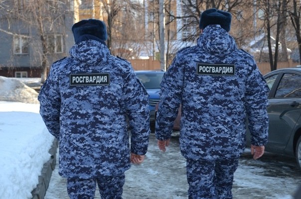 В Димитровграде росгвардейцы задержали гражданку, подозреваемую в краже