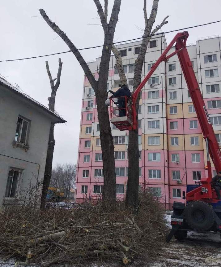 25 марта в Ульяновске на два часа перекроют улицу Кирова из-за сноса деревьев