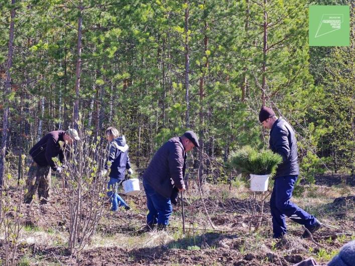 В Ульяновской области идёт подготовка к акции «Сохраним лес»