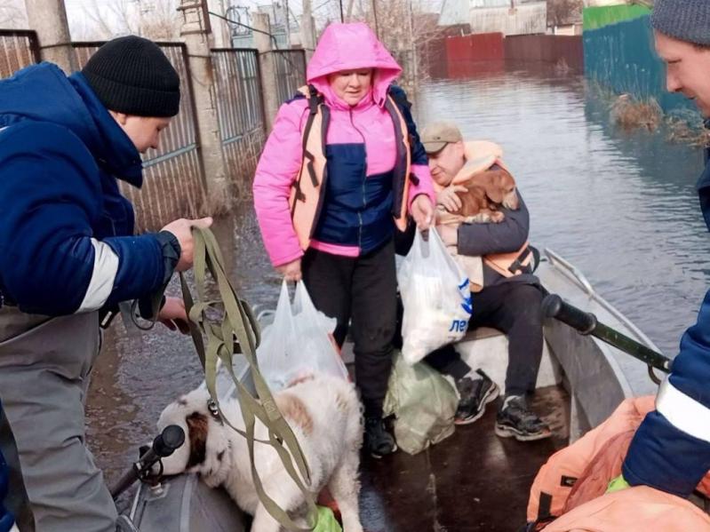 17 марта из СНТ «Залив» в Ульяновске эвакуировали 2 человек и 2 собак