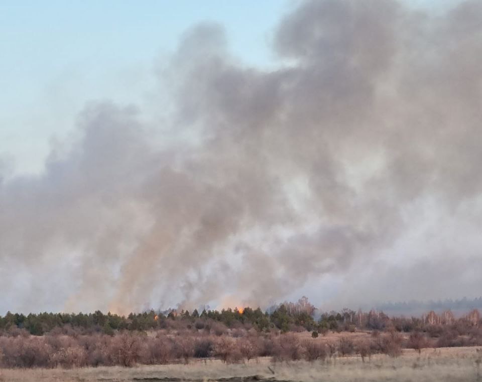 В Теренгульском районе три очага возгорания: сгорели 2 дома и 10 дачных участков