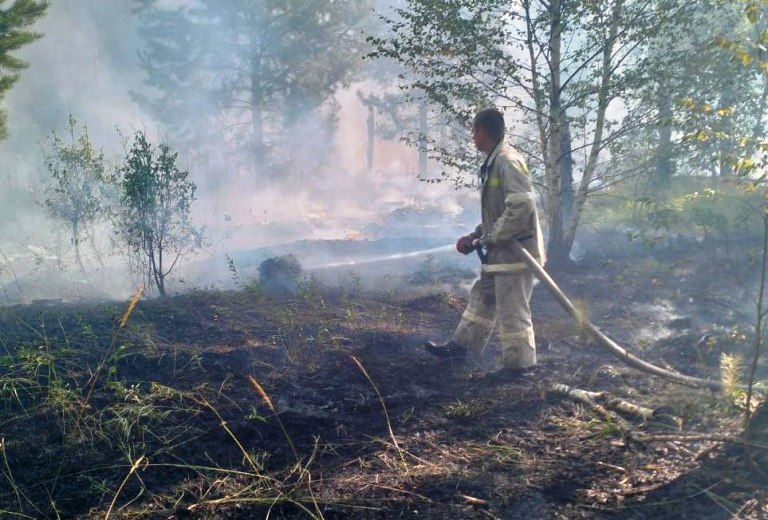 На территории Тереньгульского лесничества произошёл пожар