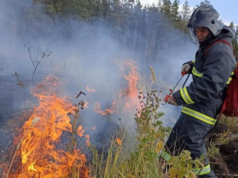 В Ульяновске вводят особый противопожарный режим