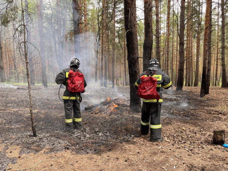 С начала года в Ульяновске произошло 511 пожаров